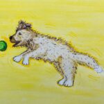 And A Dog Called Bear is Born…….