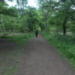 Down the Self-publishing Path I Go……