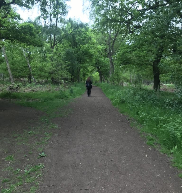 Down the Self-publishing Path I Go……
