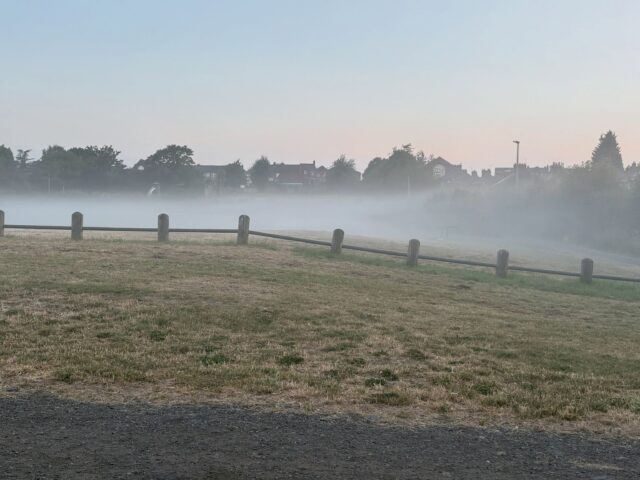 Such a peaceful dog walk. Cool air, no one else around and the last of the morning mist gently lifting. Worth getting up at silly o’clock for 🥰