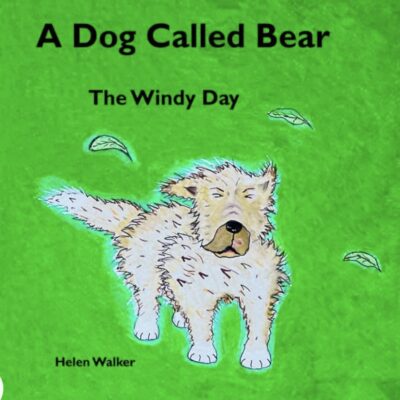 The Windy Day