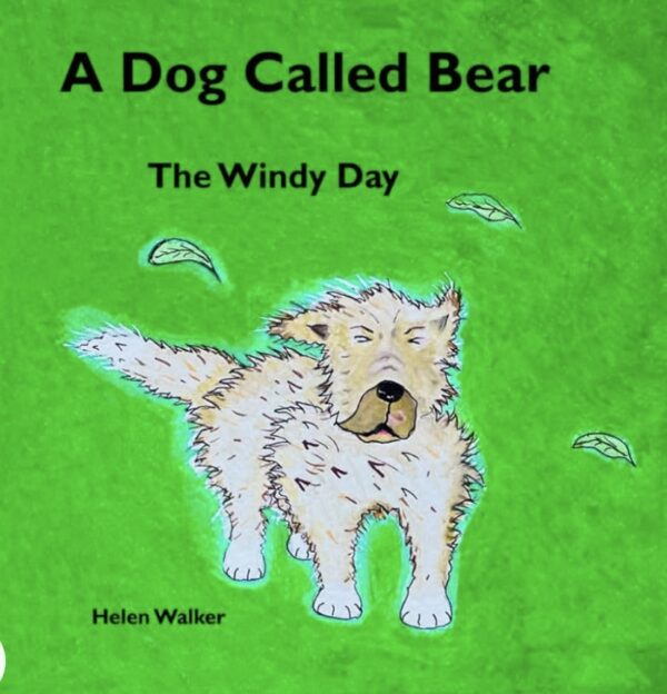 The Windy Day