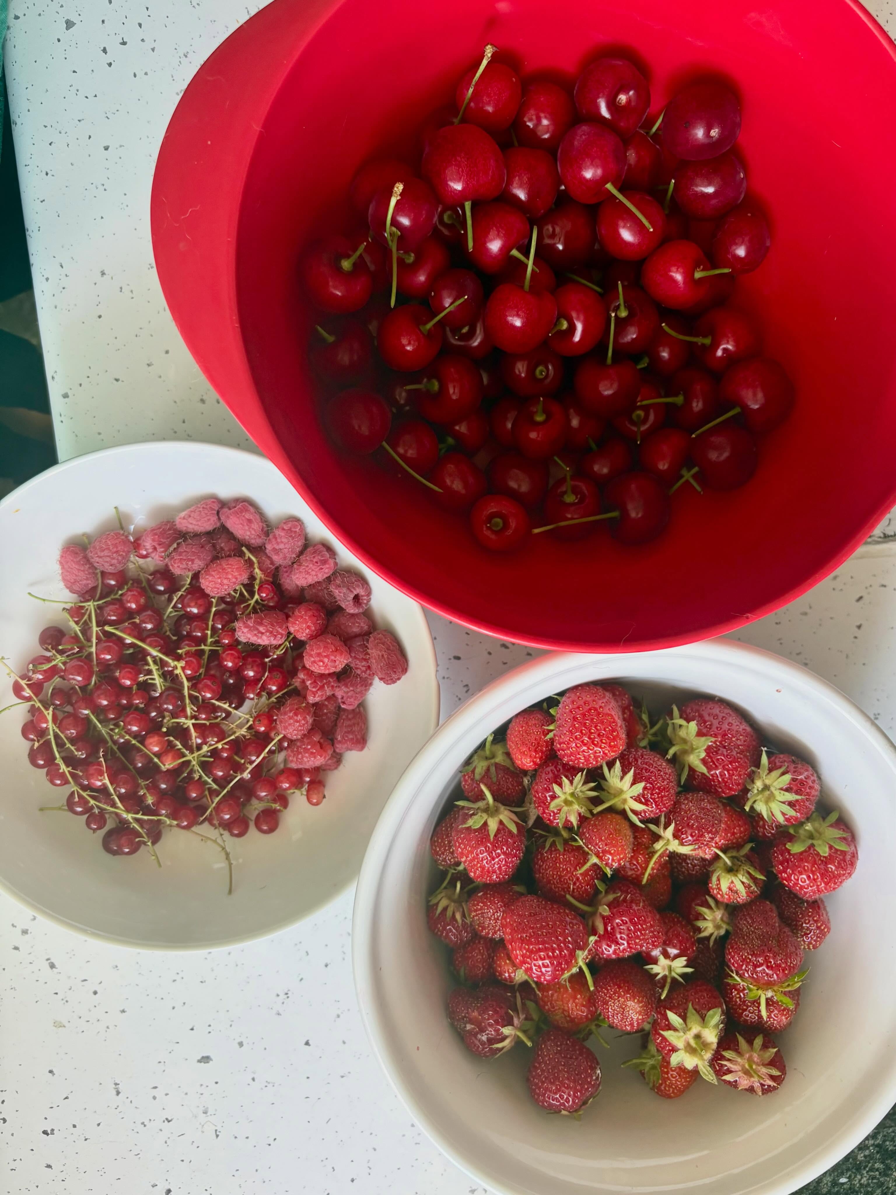 It’s all about the reds today, strawberries, red currants, first cherries and the last few tired raspberries…. I think I’m inspired to paint something red now 🍓🍒🎨🧑‍🎨
#helenwalkerauthor #givethegiftofunique